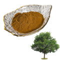 Hot Sale Herbal Plant Extract Slippery Elm Bark Powder / Elm extract powder